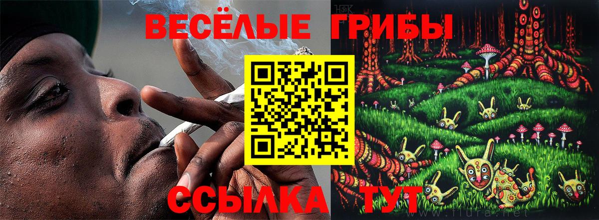 Галлюциногенные грибы ЛСД Добрянка