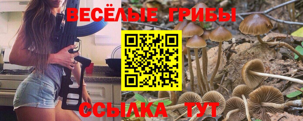 Добрянка  Псилоцибиновые грибы Magic Shrooms  Вход с VPN 